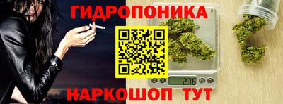 эйфоретик Можга