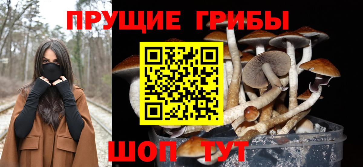 Серов  Галлюциногенные грибы Cubensis  Вход с VPN 